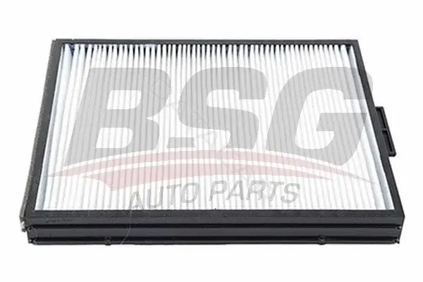 Фильтр салонный BSG BSG40-145-013