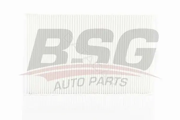 Фильтр салонный BSG BSG90-145-007