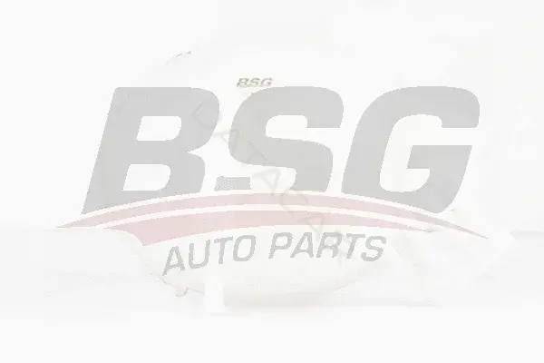 Расширительный бачок BSG BSG90-550-010