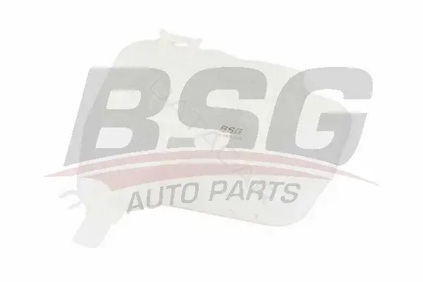 Расширительный бачок BSG BSG16-550-006
