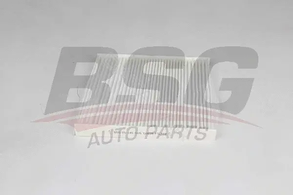 Фильтр салонный BSG BSG25-145-005