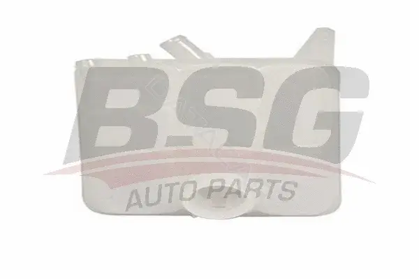 Расширительный бачок BSG BSG30-550-018