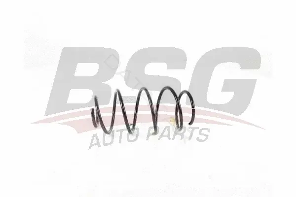 Пружины BSG BSG90-305-004