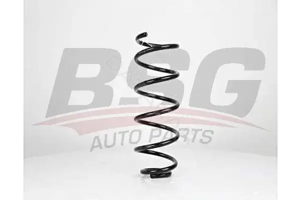 Пружины BSG BSG90-305-009