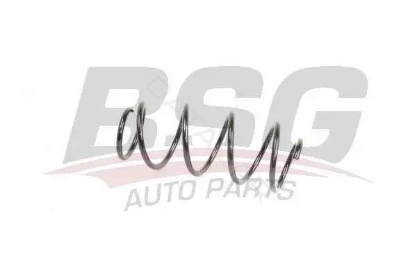 Пружины BSG BSG90-305-011