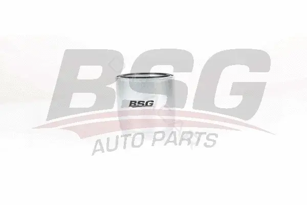 Топливный фильтр BSG BSG40-130-011