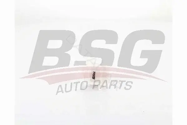 Топливный фильтр BSG BSG40-130-024