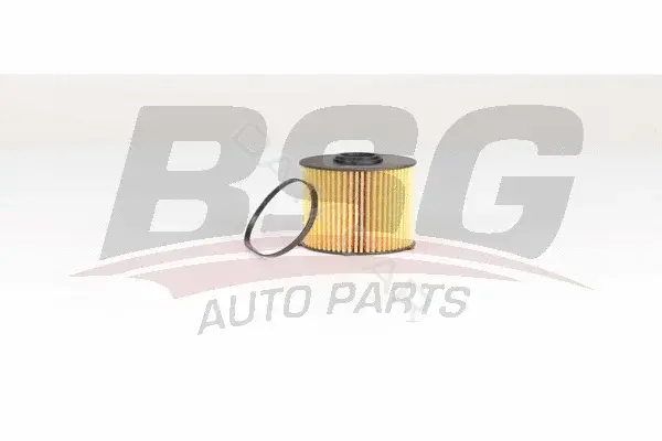 Топливный фильтр BSG BSG60-130-022
