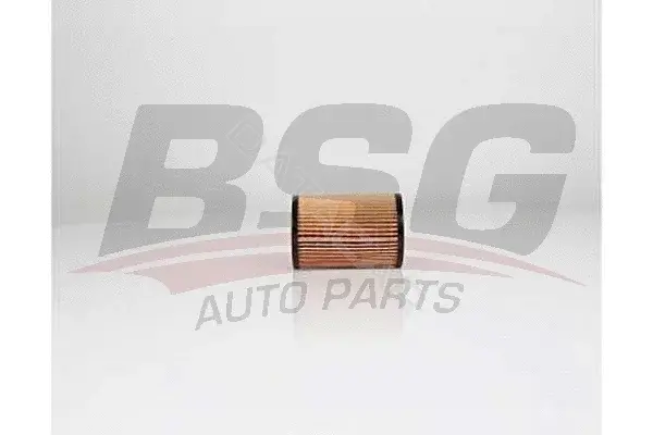 Масляный фильтр BSG BSG65-140-019
