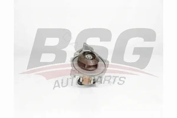 Водяной насос / Помпа BSG BSG15-500-017