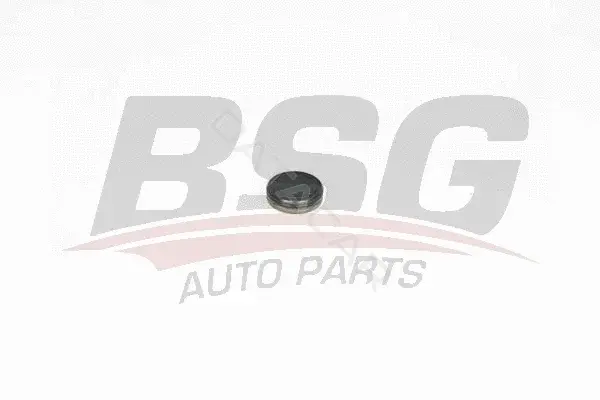 Заглушка распредвала BSG BSG60-109-018