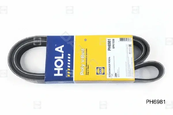 Ремень ручейковый HOLA PH6981