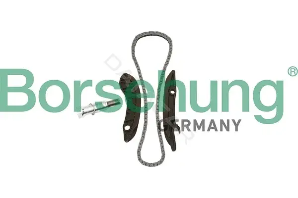 Комплект цепи ГРМ Borsehung B18852
