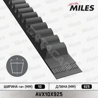 Ремень клиновой MILES AVX10X925