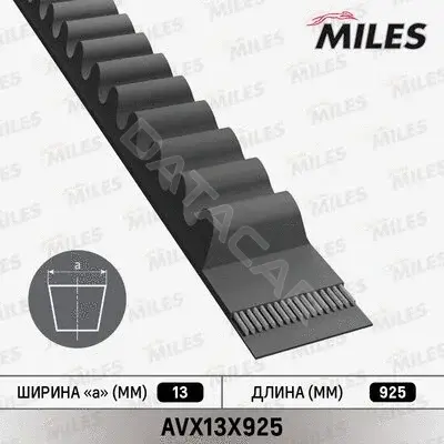 Ремень клиновой MILES AVX13X925