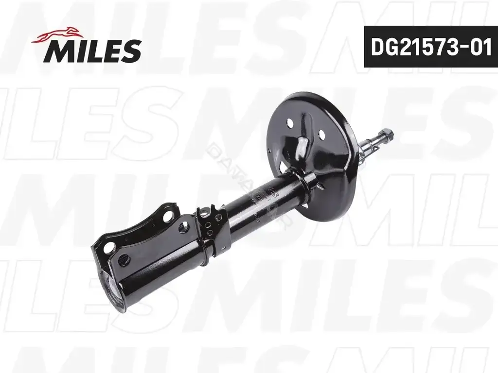 Амортизаторы MILES DG21573-01