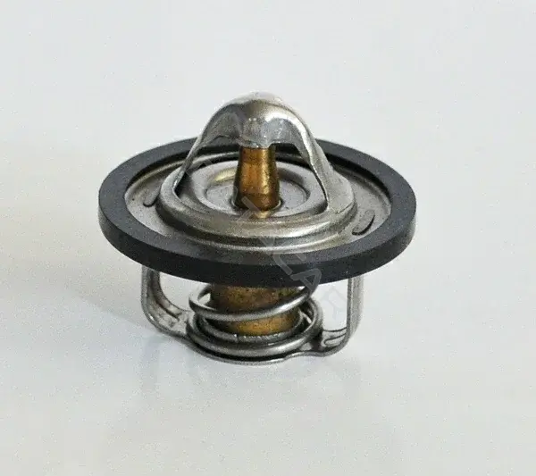 Термостат ASAM 30654