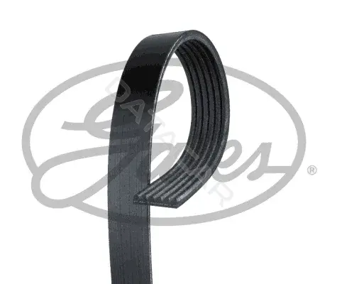 Ремень ручейковый GATES 6PK1061EST
