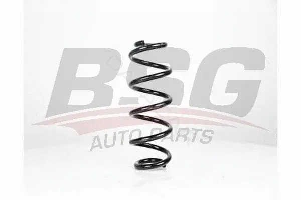 Пружины BSG BSG90-305-005