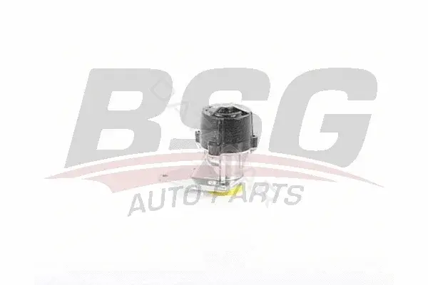 Вакуумный насос BSG BSG70-235-001