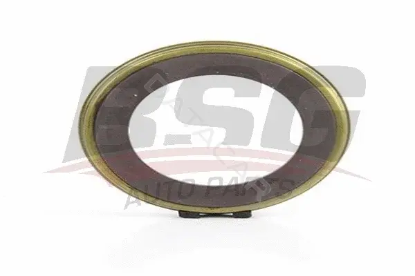 Кольцо АБС BSG BSG30-840-038