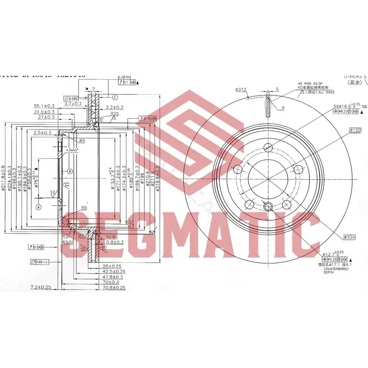 Тормозные диски SEGMATIC SBD30093201