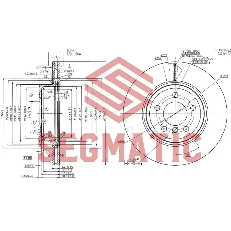 Тормозные диски SEGMATIC SBD30093217