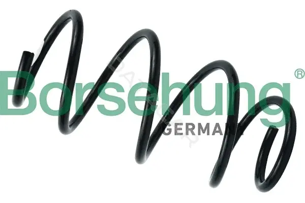 Пружины Borsehung B12564