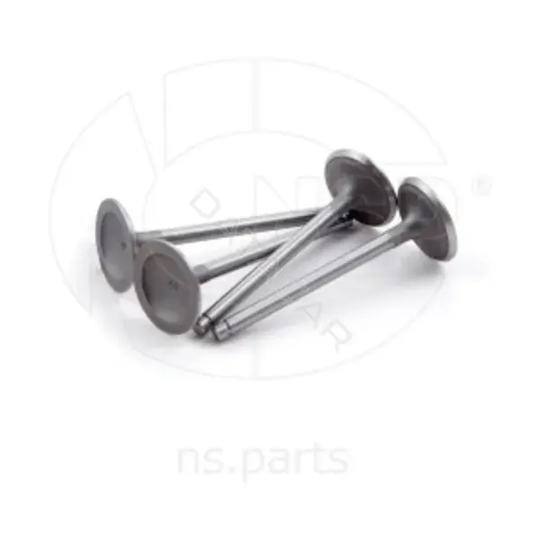 Впускной клапан NSP NSP0196182934