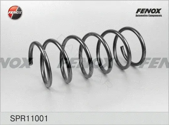 Пружины FENOX SPR11001