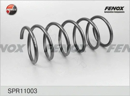 Пружины FENOX SPR11003