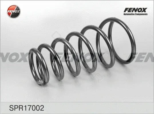 Пружины FENOX SPR17002