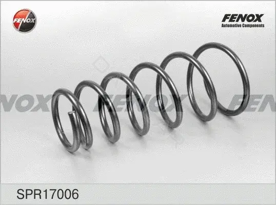 Пружины FENOX SPR17006