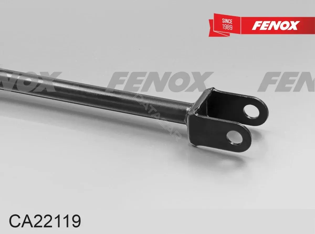 Рычаги FENOX CA22119