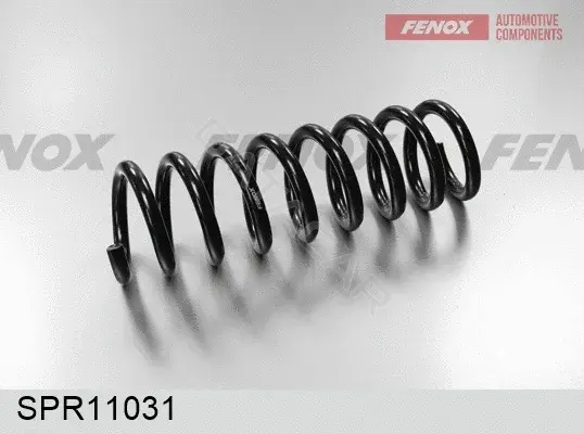 Пружины FENOX SPR11031