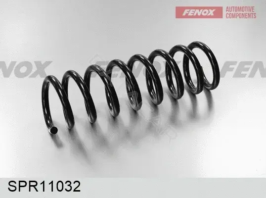 Пружины FENOX SPR11032