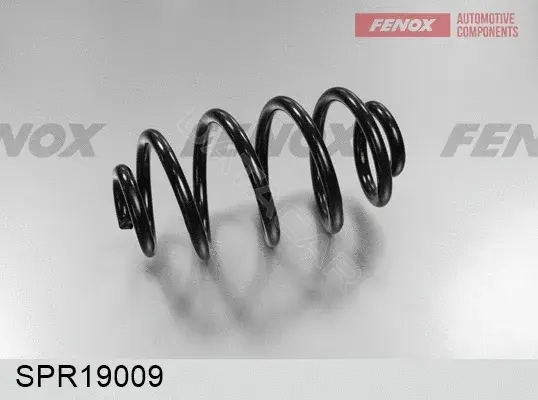Пружины FENOX SPR19009