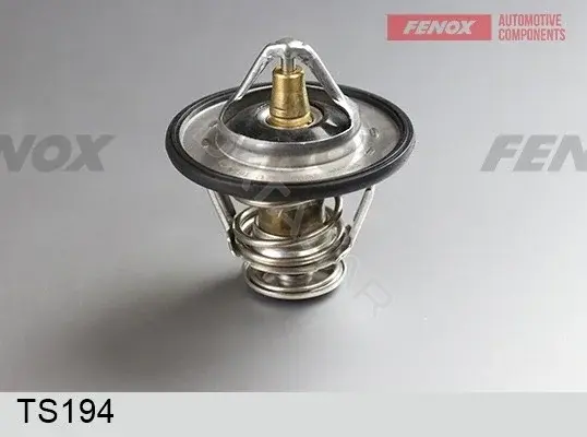 Термостат FENOX TS194