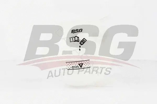 Расширительный бачок BSG BSG90-550-001