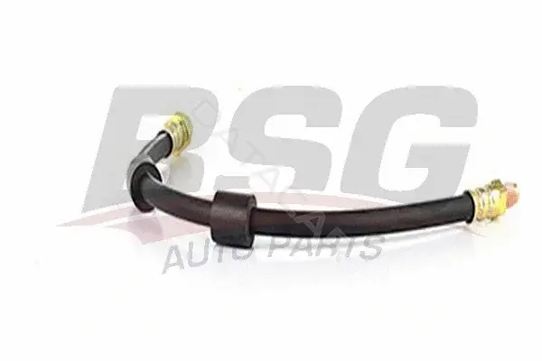 Тормозные шланги BSG BSG15-730-010