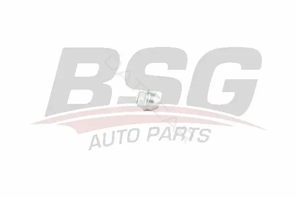 Гайка колеса BSG BSG30-230-050