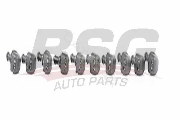 Ремкомплект форсунок BSG BSG30-851-002