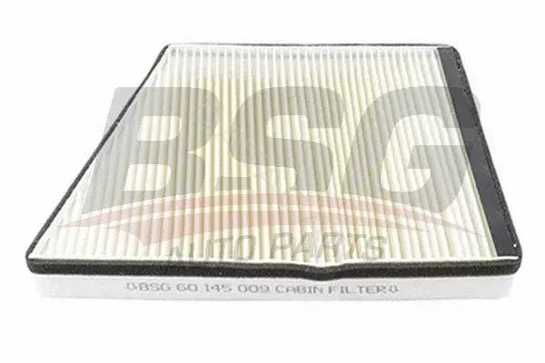 Фильтр салонный BSG BSG60-145-009
