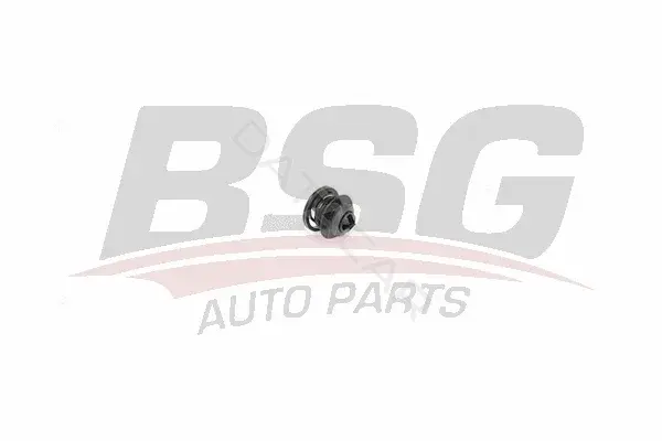 Клипса молдинга BSG BSG90-995-010
