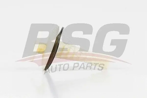 Клипса молдинга BSG BSG30-995-002