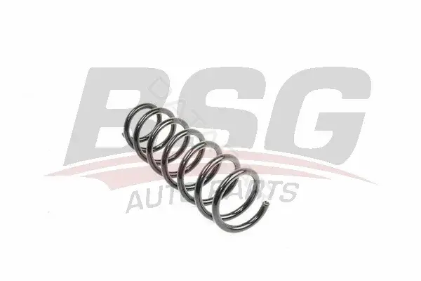 Пружины BSG BSG15-305-001