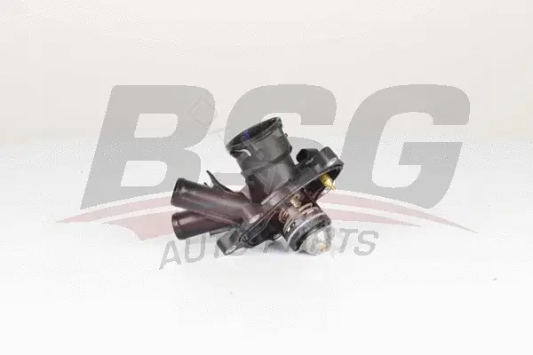 Термостат BSG BSG60-125-015