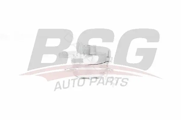 Натяжитель ремня генератора BSG BSG60-615-027