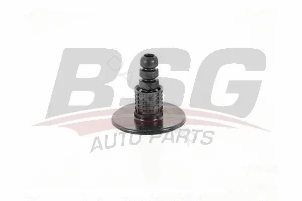 Амортизаторы BSG BSG60-700-192
