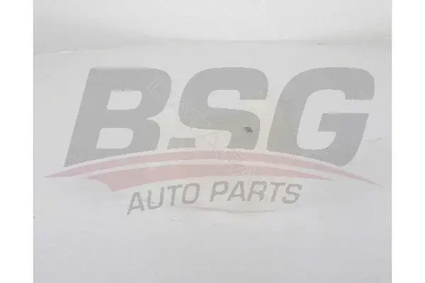 Расширительный бачок BSG BSG65-550-017